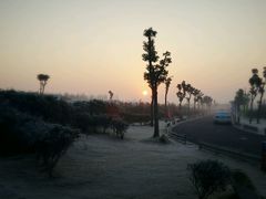 -明珠湖天鹅苑·农家菜馆