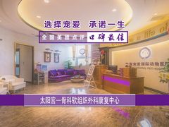 -宠爱国际动物医院·疑难骨科·心肾内科·皮肤科(太阳宫店)