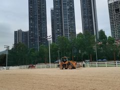 -名驭国际马术学院