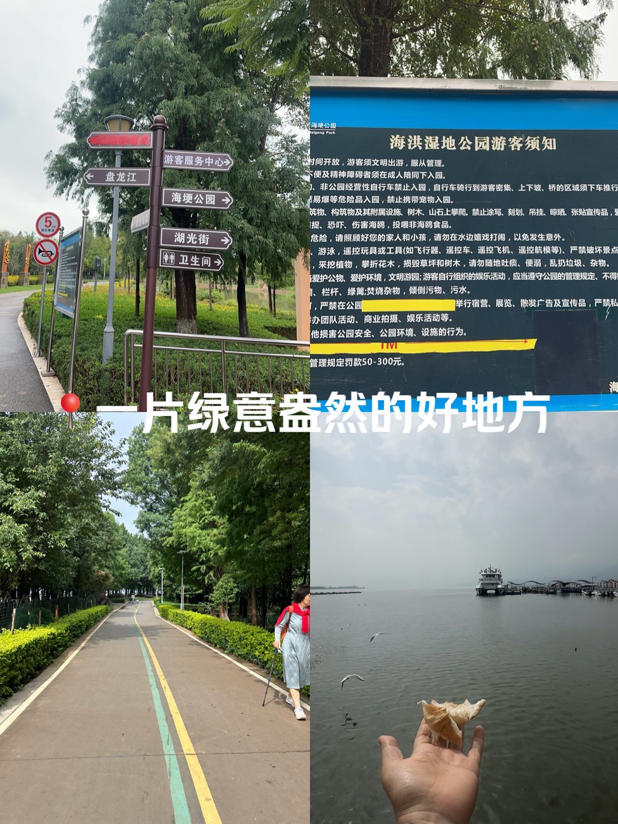 昆明海洪湿地公园介绍图片