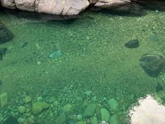 -石台牯牛降景区