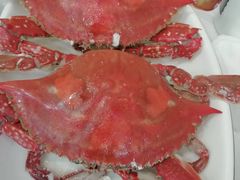 -金海湾海鲜排档(朱家尖店)