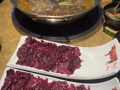 -手选潮汕鲜活牛肉火锅(二七广场店)