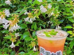 -炖物24章·顺时轻养茶(杭州大厦店)