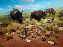 -陕西自然博物馆