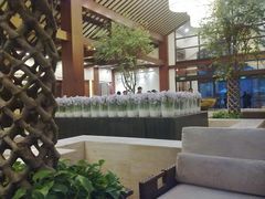 -苏州环秀晓筑养生度假村