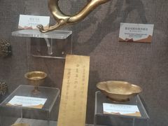 -烟台自然博物馆