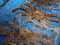 -徐记海鲜·家宴(南油永新汇店)