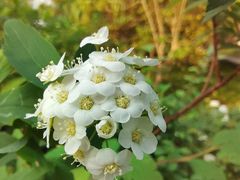 -杭州植物园