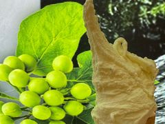 -野人先生现做冰淇淋(北京环宇荟店)