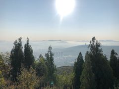 -博山九龙峪风景区