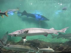 -太平洋海底世界