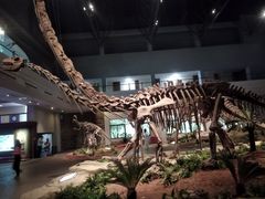 -自贡恐龙博物馆