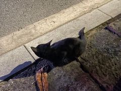 -阿军烧烤(安吉店)