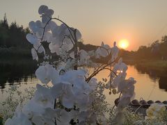 -养云安缦吧THE BAR