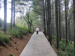 -驼梁风景区