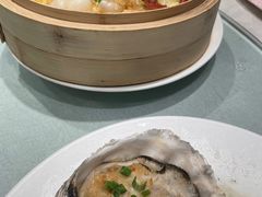 生蚝-西贝海鲜汇(槐安路店)