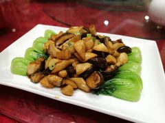 -海岛渔村大酒店(云霄路店)