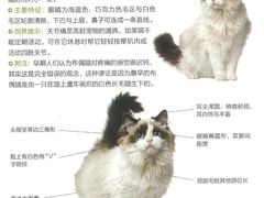 -心语宠物医院·急重症转诊中心·瑞辰华诺(南青路店)
