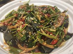 -广宁炭炉鸡煲·富临门饭店