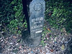 -梧桐山风景名胜区