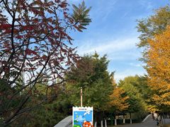 -长白岛森林公园