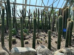 -南山植物园