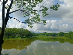-东莞植物园