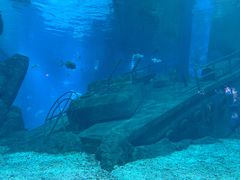 -福州罗源湾海洋世界旅游区