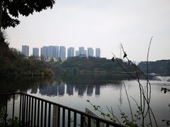 -重庆彩云湖湿地公园