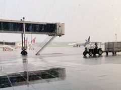 -圣保罗/瓜鲁柳斯-安德烈·弗朗哥·蒙托罗州长国际机场