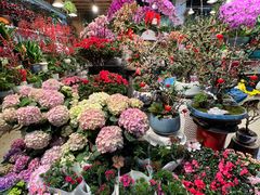 -双季花艺园艺市场(浦东店)