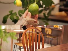 -肥朵食堂(带梦胡同店)