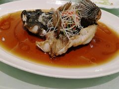 -光明邨大酒家(汇阳广场店)