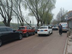 -亲兄弟真人CS团建拓展基地