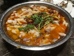 肥肠鱼-龙梅肥肠鱼(明瓦廊店)