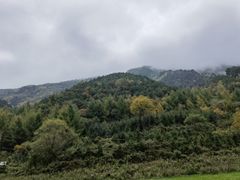-狮子沟牧场
