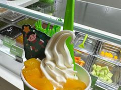 -Salud撒露欧洲冻酸奶(北苑上品店)