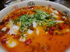 酸菜鱼-明城饭店(万科九都荟店)
