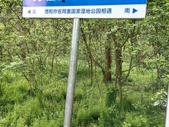 -同里国家湿地公园