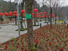 -阿哈湖国家湿地公园