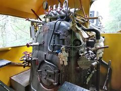 -五营红松林海景区