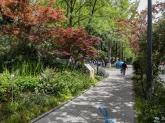 -成都市活水公园