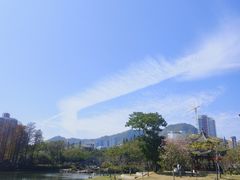 -四海公园(南山区)