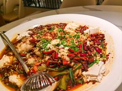 水煮豆花鱼(江团)-川味堂·四川豆花(八卦岭店)