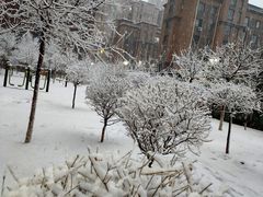 -姚家小院灶台鱼