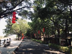 -大湾区中央湿地公园