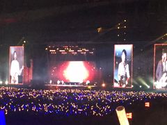 -南京奥林匹克体育中心-体育馆