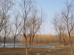 -东郊湿地公园