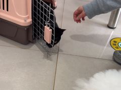 -佳雯宠物医院·皮肤科·内外科(春晓路分院)